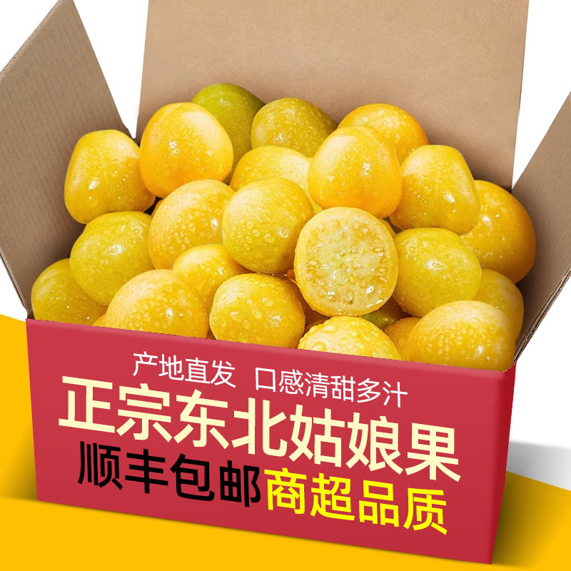 东北姑娘果特产水果5斤