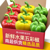 现摘生吃不辣甜椒五彩椒5斤新鲜圆椒红椒黄椒绿椒七彩辣椒水果椒