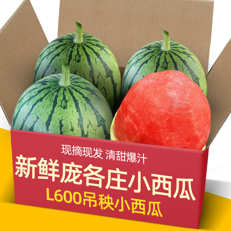 正宗北京大兴庞各庄头茬小西瓜