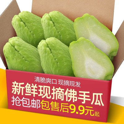 Свежего выбранного фермера Chayote 9 фунтов дын держит дыни и урожай гнезда с дынями и долговечно