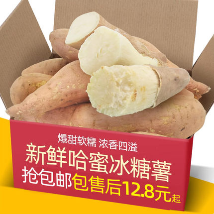 山东哈密冰糖薯5-9斤沙地新鲜现挖白心糖心蜜薯红薯番地瓜山芋