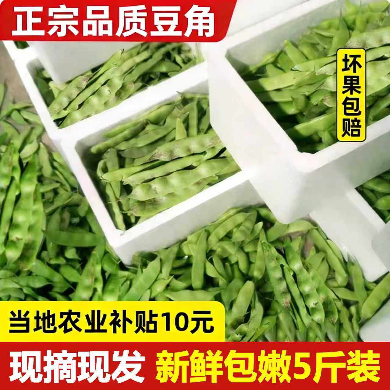 正宗云南油豆角现摘新鲜蔬菜5斤一点红油豆角九月青黑龙江包邮10,水产肉类/新鲜蔬果/熟食,新鲜豆类,淘宝优惠券,粉丝福利购,淘宝优惠卷
