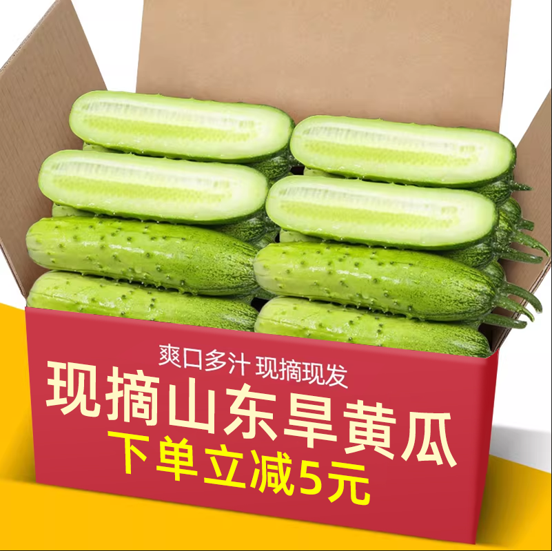 新鲜现摘水果小黄瓜山东旱黄瓜生吃孕妇蔬菜脆嫩青瓜5斤整箱包邮