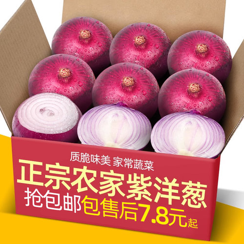 农家紫皮大洋葱10斤圆葱新鲜