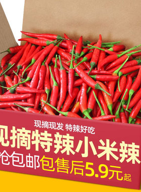 正宗现摘小米辣椒新鲜5斤特辣小米椒朝天椒超辣红辣椒指天椒尖椒9