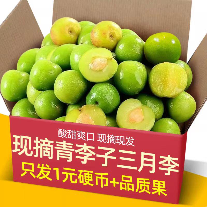 现摘青李子三月李5斤装新鲜珍珠李孕妇当季水果早熟酸脆三华李子