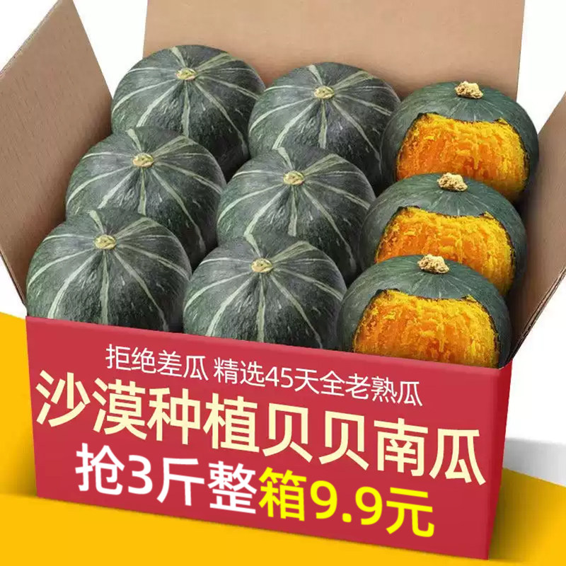 宁夏内蒙沙漠鲜甜糯板栗贝贝小南瓜宝宝辅食日本新鲜栗面粉糯老瓜