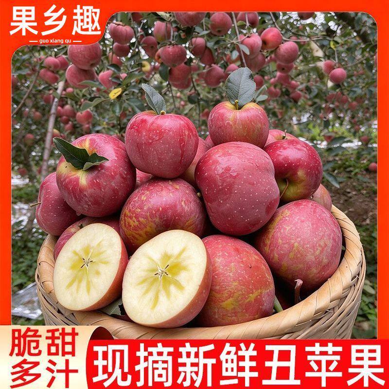 云南昭通丑苹果新鲜水果孕妇当季整箱冰糖心高山绍通苹果