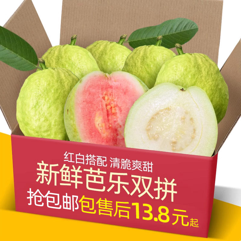 广西农家芭乐双拼5斤新鲜水果应当季软糯番石榴胭脂红巴乐树上熟