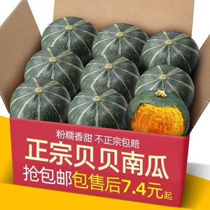 [正宗老品种惠和板栗贝贝小南瓜10斤宝宝辅食日本新鲜栗面粉糯老瓜]