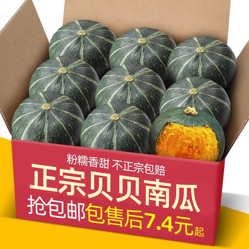 正宗贝贝南瓜板栗味5斤