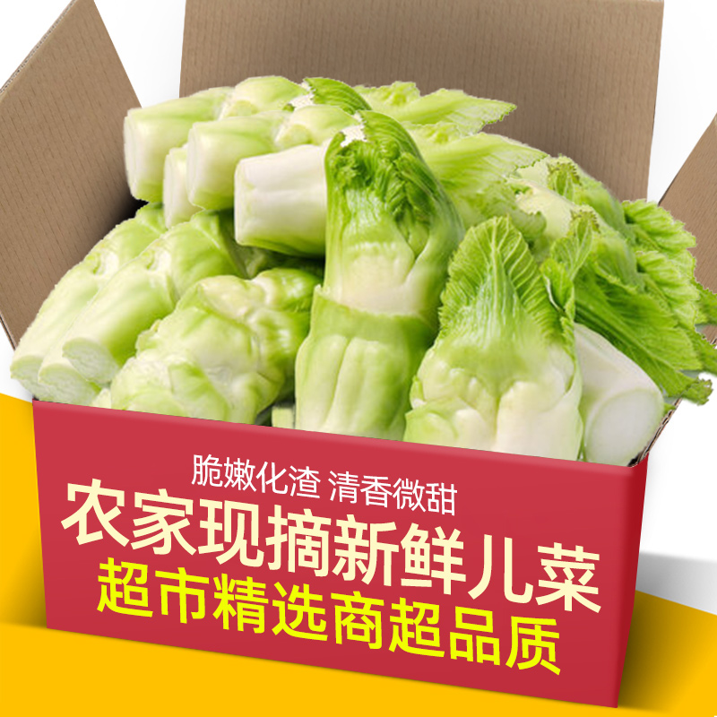 重庆现摘儿仔菜新鲜抱菜