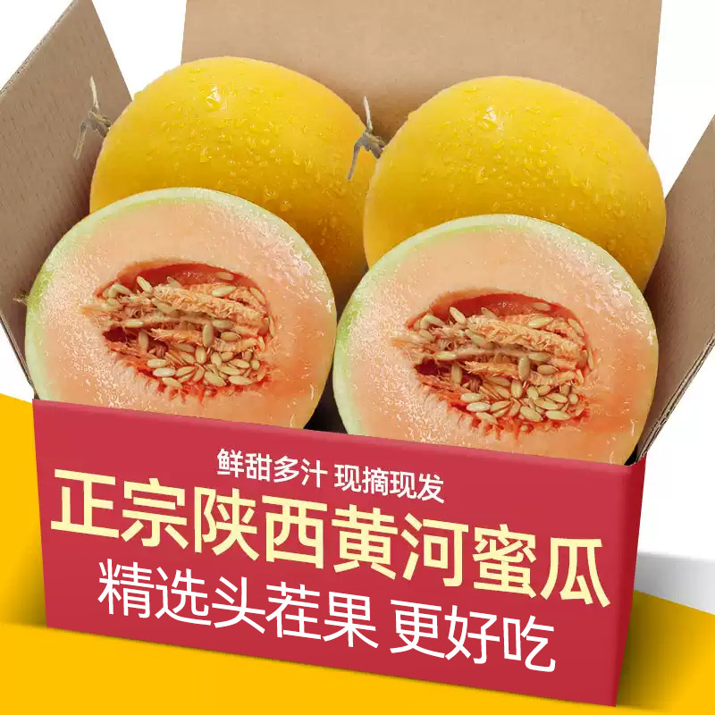 正宗陕西黄河蜜瓜热销大果装新鲜水果当季整箱哈密瓜新鲜黄金蜜瓜