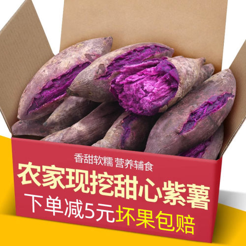 甜心紫薯新鲜5斤番薯农家地瓜