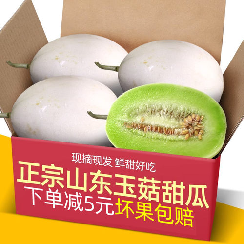 正宗山东玉菇甜瓜10斤