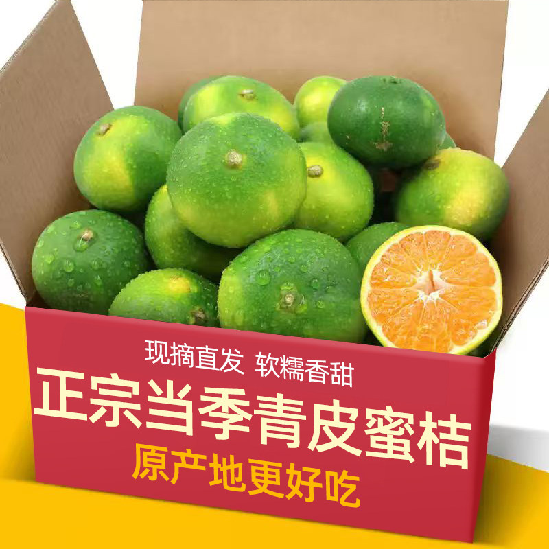 云南蜜桔新鲜橘子早熟青皮