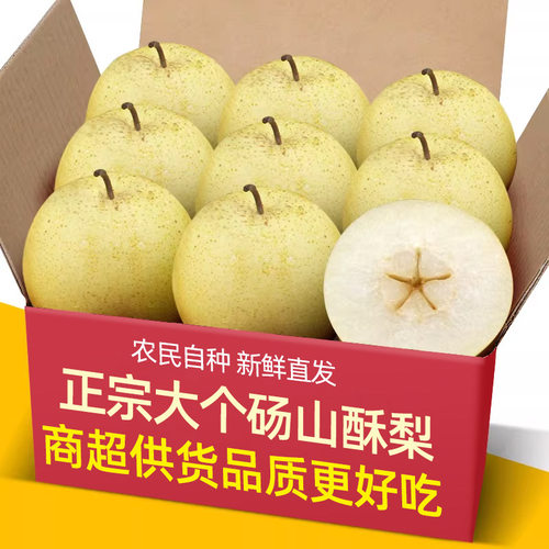 正宗新鲜砀山酥梨5-9斤