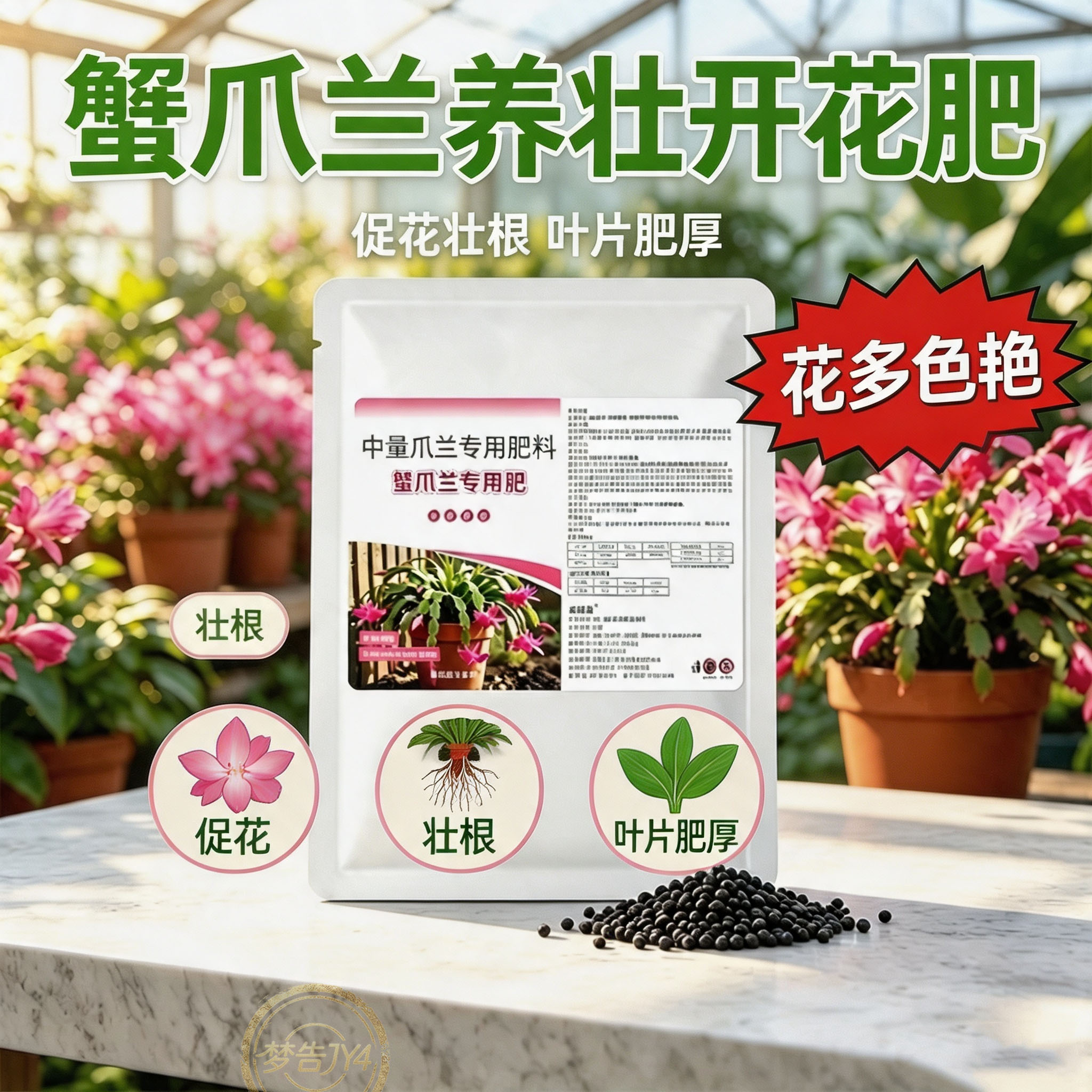 蟹爪兰专用镁肥防黄叶促花苞