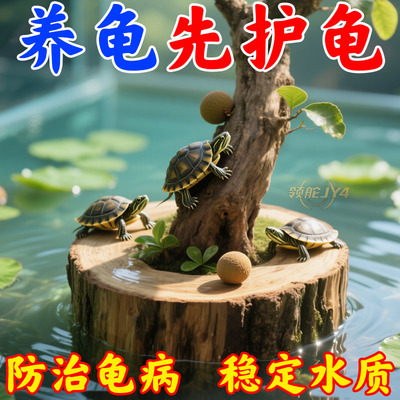 龟缸龙眼木晒台预防疾病稳定水质乌龟休息爬台生态造景轻松养龟