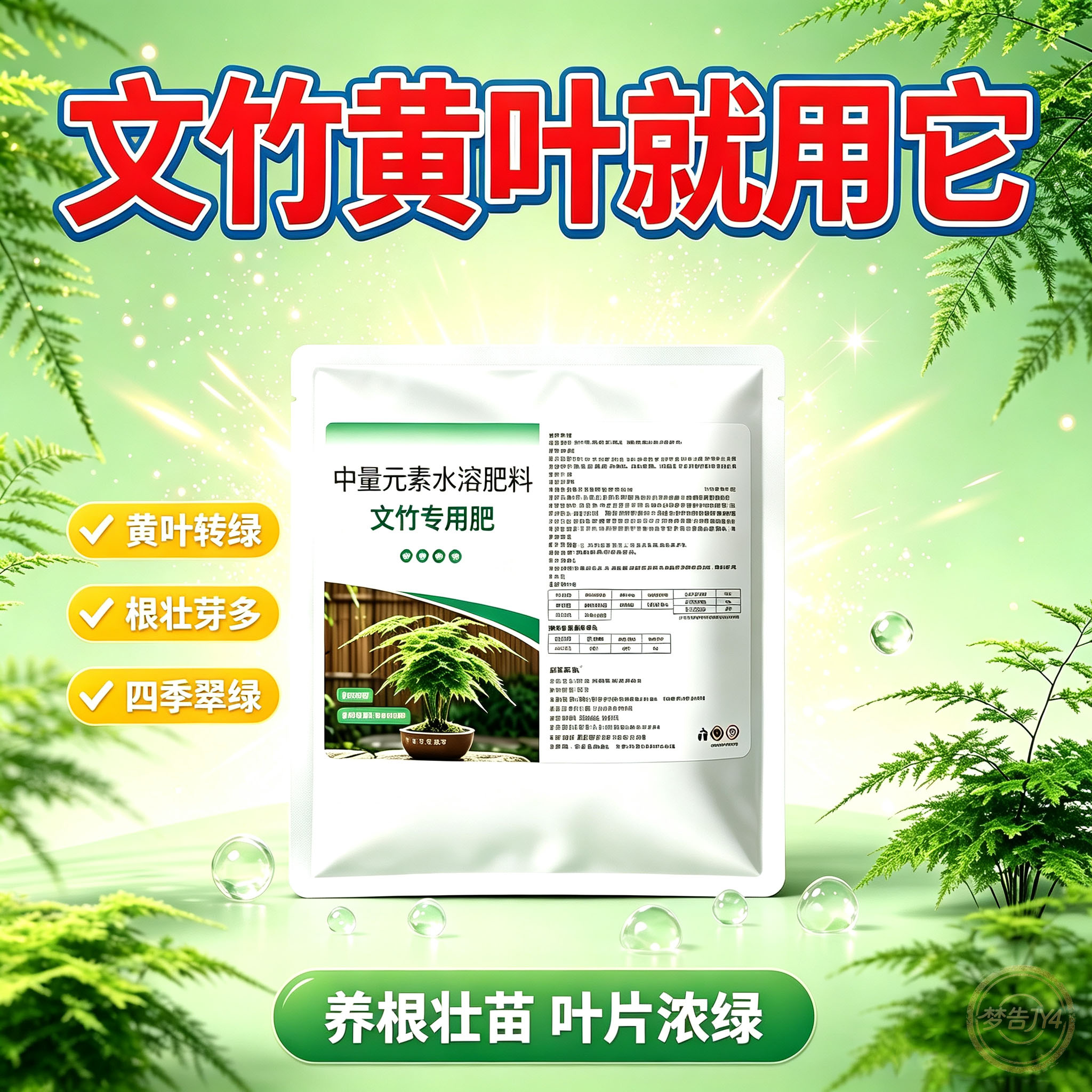 竹子专用有机肥促生长绿叶盆栽