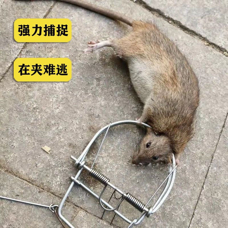 大号老鼠强力夹子老鼠家用自动捕鼠器强效灭鼠老鼠板铁制老鼠夹