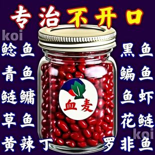 血麦钓鱼鱼饵野钓鲫鱼饵料麦子草鱼鲤鱼四季通杀红虫饵料治不开口