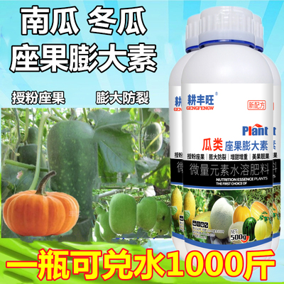 南瓜冬瓜坐果膨大素果实膨大剂南瓜坐果灵增产冬瓜座果南瓜膨大剂