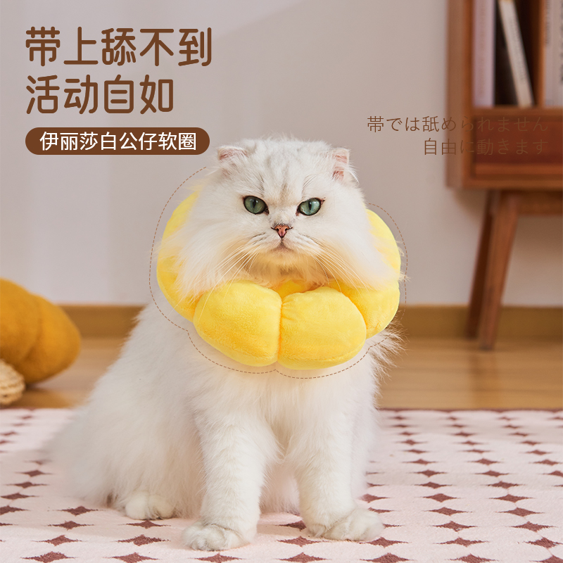 宠物伊丽莎白圈猫咪头套防舔