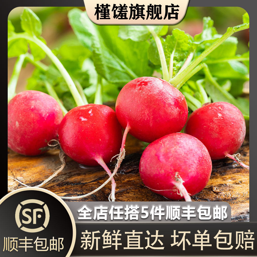 槿馐  樱桃萝卜500g 迷你小红萝卜菜新鲜蔬菜小圆萝卜5件顺丰包邮