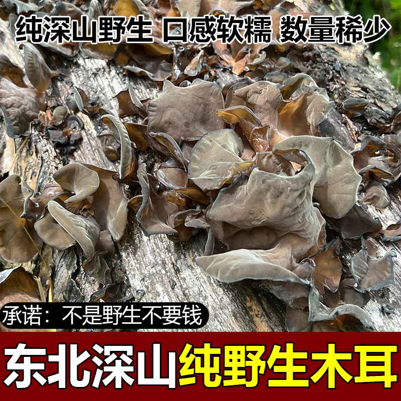 纯野生黑木耳东北特产无添加黑木耳干货农家晾晒散装长白山黑木耳