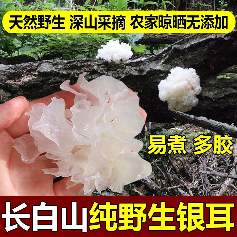 东北纯野生银耳干货特级无硫无添加小银耳羹雪耳长白山野生白木耳,粮油调味/速食/干货/烘焙,银耳/冻干银耳及银耳制品,淘宝优惠券,粉丝福利购,淘宝优惠卷