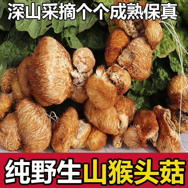 2025新货野生猴头菇干货250g东北长白山纯猴头菇煲汤菌养胃可打粉