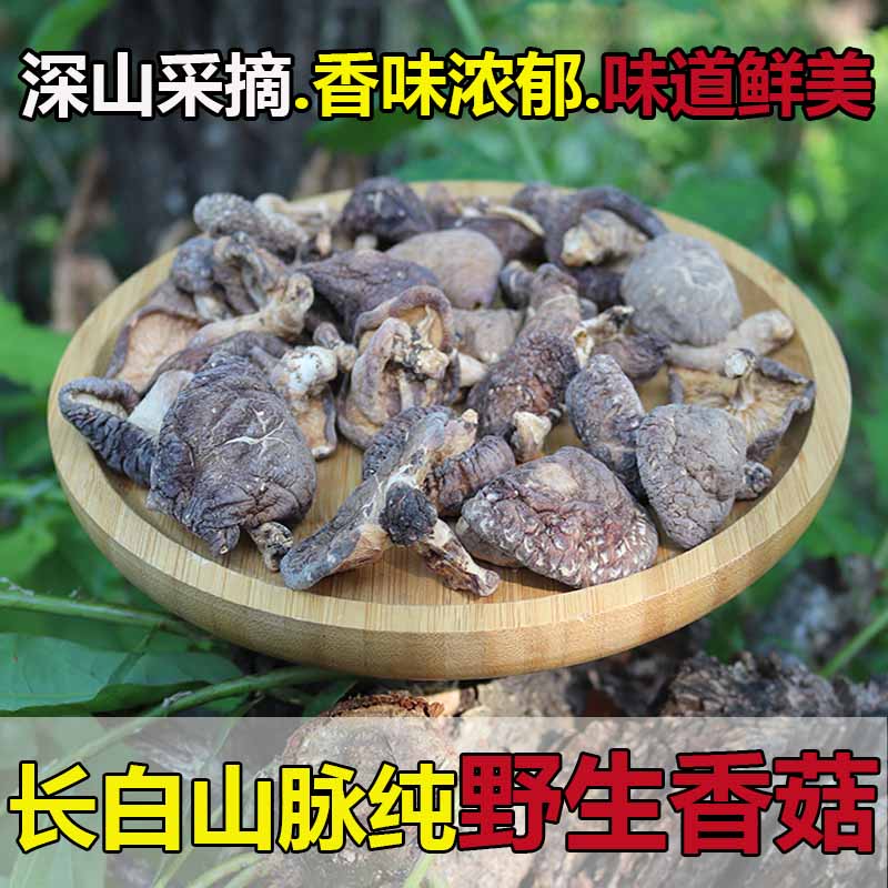 野生椴木香菇带根干货