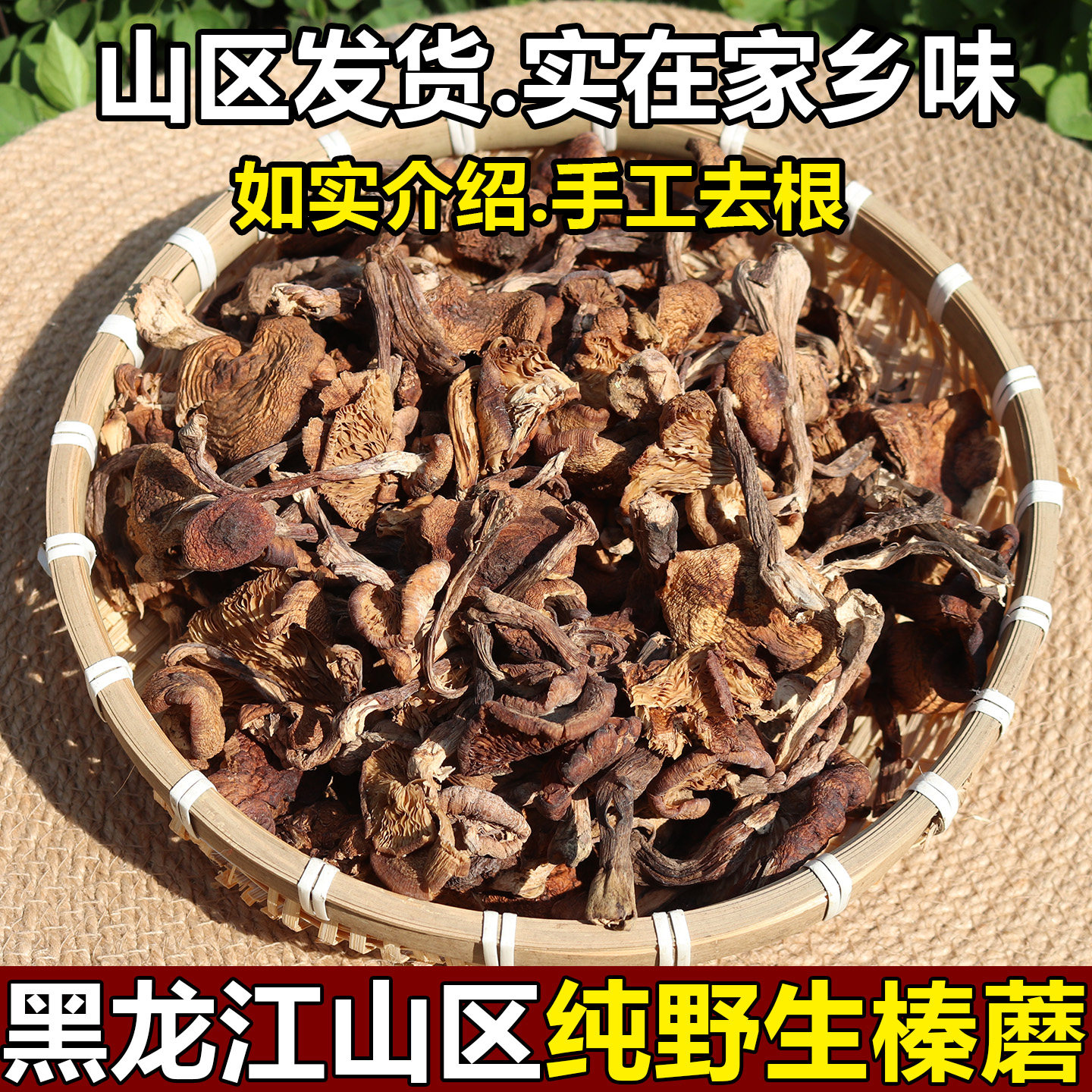 东北野生榛蘑干货小鸡炖蘑菇特级榛蘑头茬新货无根500g山区直发