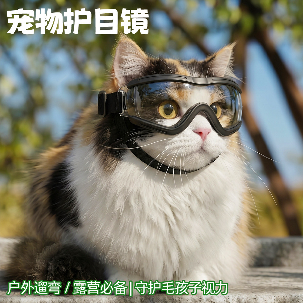 网红宠物护目镜全犬小猫通用骑行墨镜防风夏季防晒太阳镜户外眼镜