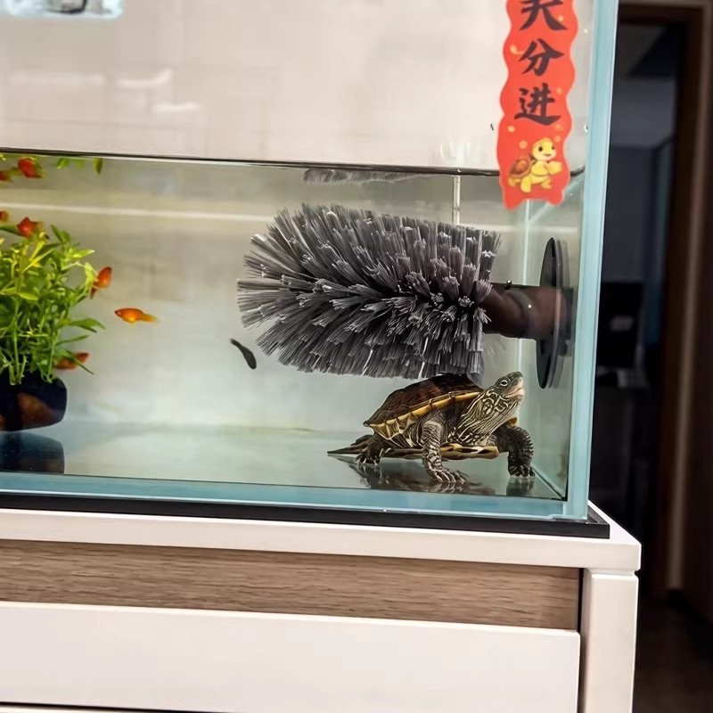 乌龟刷背刷刷背神器吸盘式洗碗刷洗澡蹭背刷子爬宠多功能清洁刷子