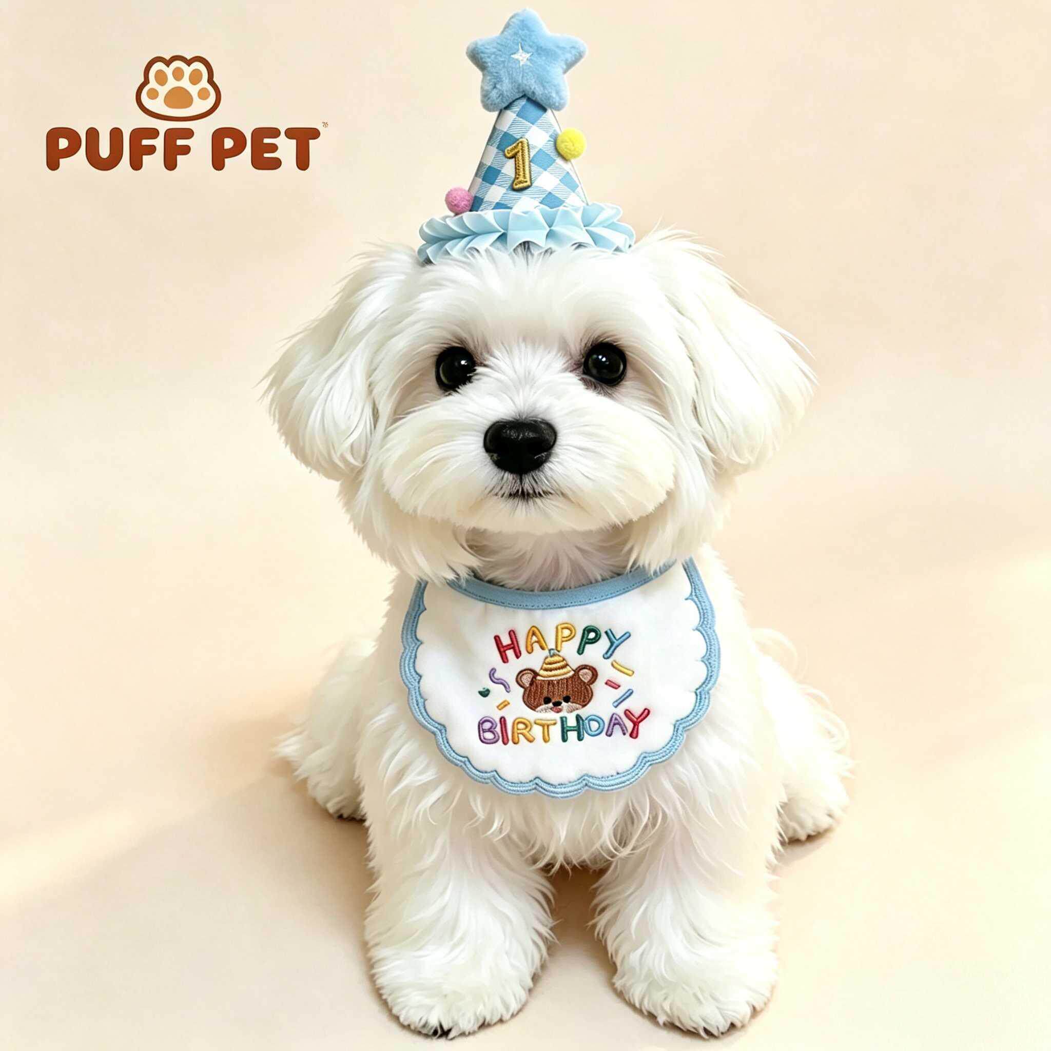 狗狗生日围兜可爱刺绣小熊口水巾可调节数字生日帽猫咪周岁装饰