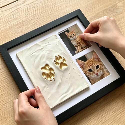 小红书爆款！猫咪脚印纪念相框照片掌印实木摆台桌面装饰画框摆件