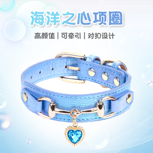 狗脖圈小狗项圈结实可牵引宠物颈圈配饰中小型犬外出遛狗专用脖套