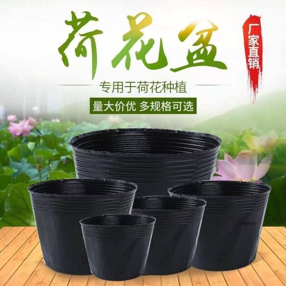 厂家 塑料荷花盆无孔防老化营养袋睡莲多肉营养钵育苗盆苗木