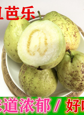 广西低糖特产正宗白心丑芭乐新鲜水果时令当季花点丑番石榴 现摘