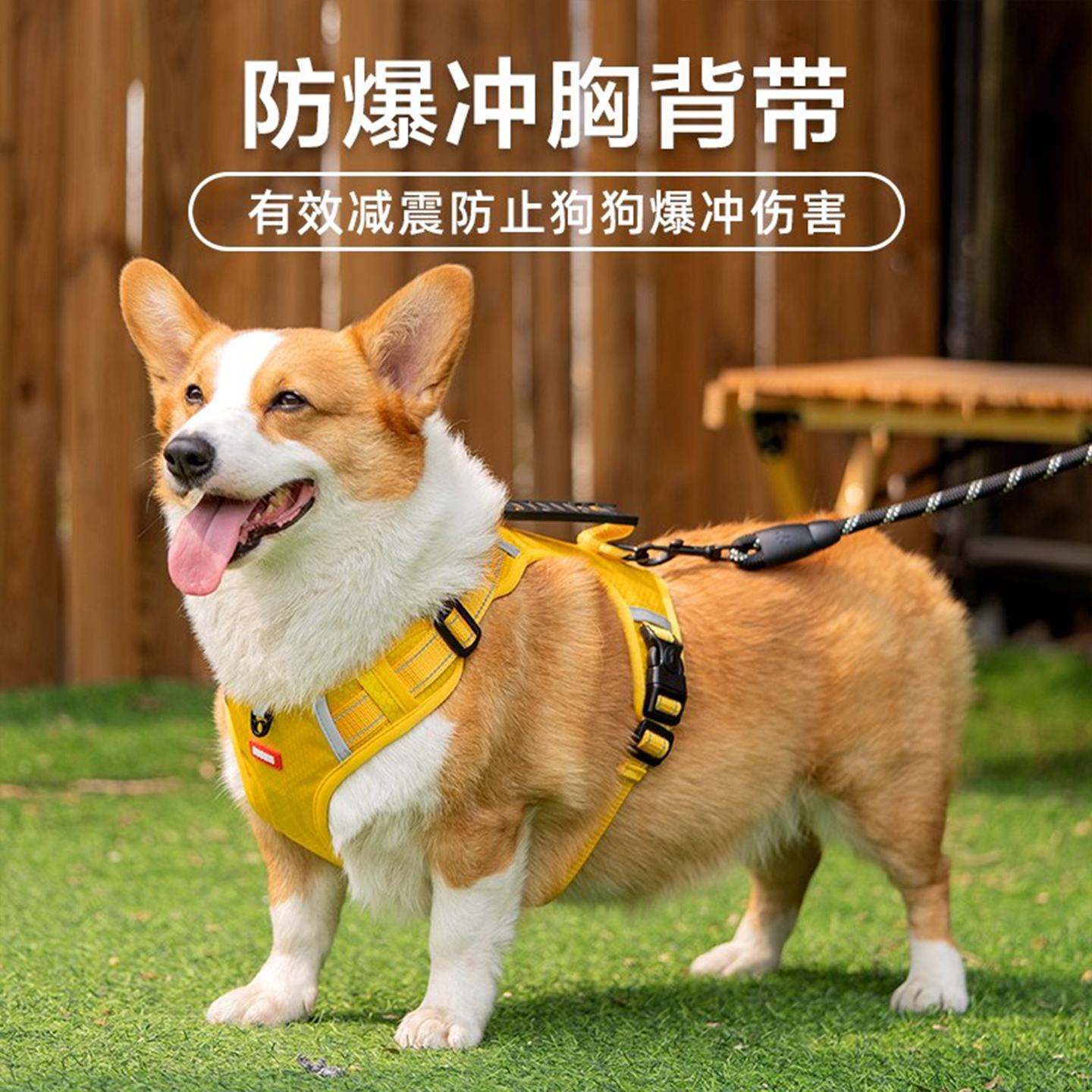 宠物狗狗牵引绳胸背柯基中大型犬