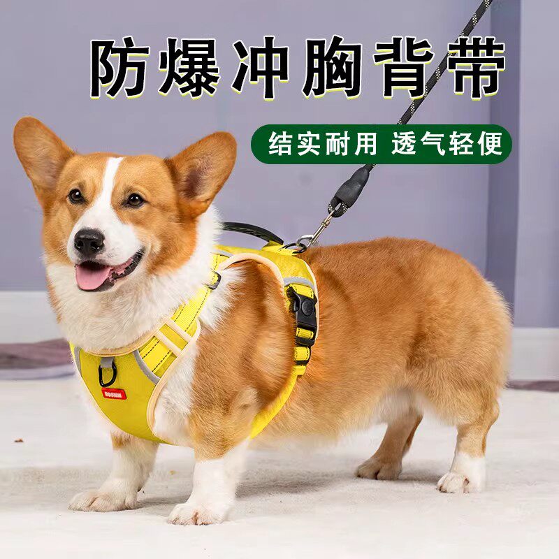 狗狗牵引绳中小型犬柴犬柯基犬专用幼犬可调节背心式胸背带遛狗绳