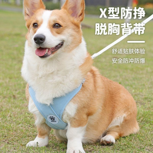 狗狗牵引绳遛狗绳泰迪柯基可调节