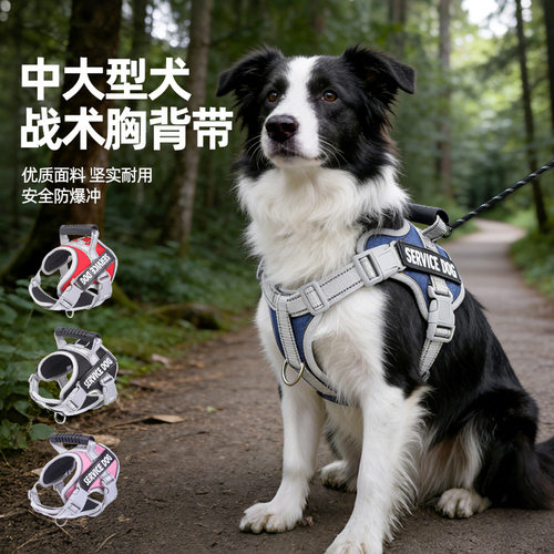 狗狗牵引绳夏季马鞍式狗胸背带