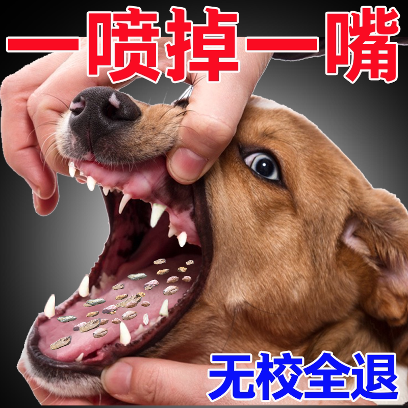 【不好用包退】狗狗牙结石去除神器软化剂牙齿清洁口臭除口臭喷剂