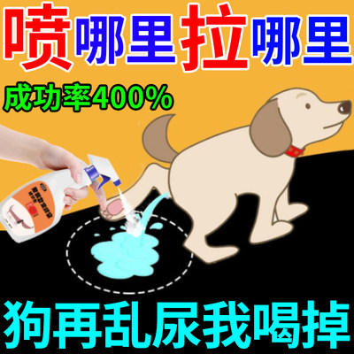 狗狗定点排便热卖第一名