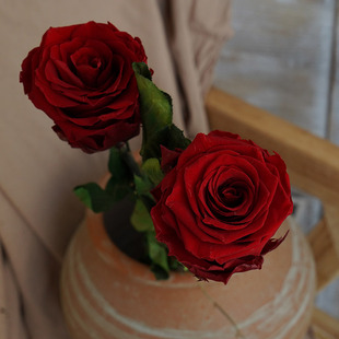 玫瑰永生花干花花束闺蜜女友生日礼物客厅摆设玻璃罩diy材料真花