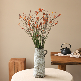 火焰兰干花花束客厅摆设高级感真花复古轻奢民宿酒店摄影装 饰摆件