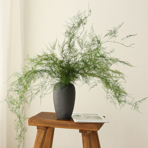 仙气文竹永生花干花花真花水